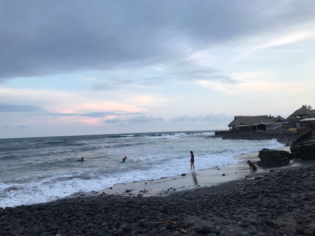 Cómo un surfista californiano ayudó a llevar el Bitcoin a El Salvador - Vimarsana News